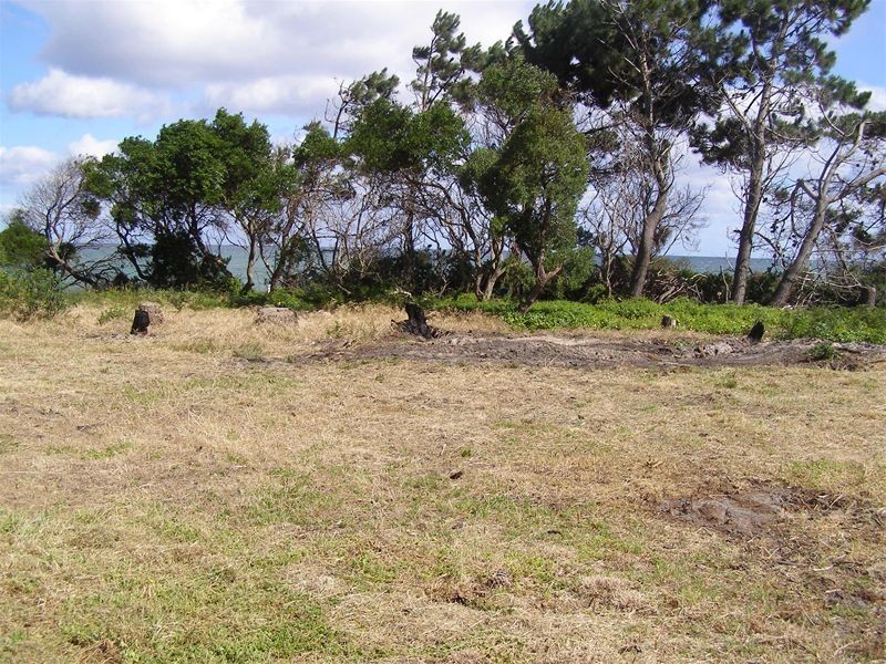 8  Clerke Street, Leith TAS 7315