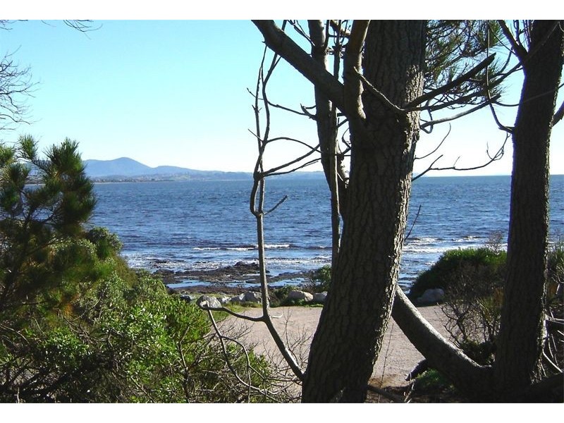 8  Clerke Street, Leith TAS 7315