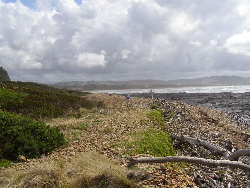 8  Clerke Street, Leith TAS 7315