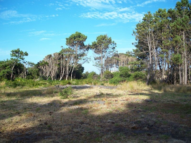 8  Clerke Street, Leith TAS 7315