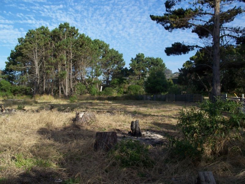 8  Clerke Street, Leith TAS 7315