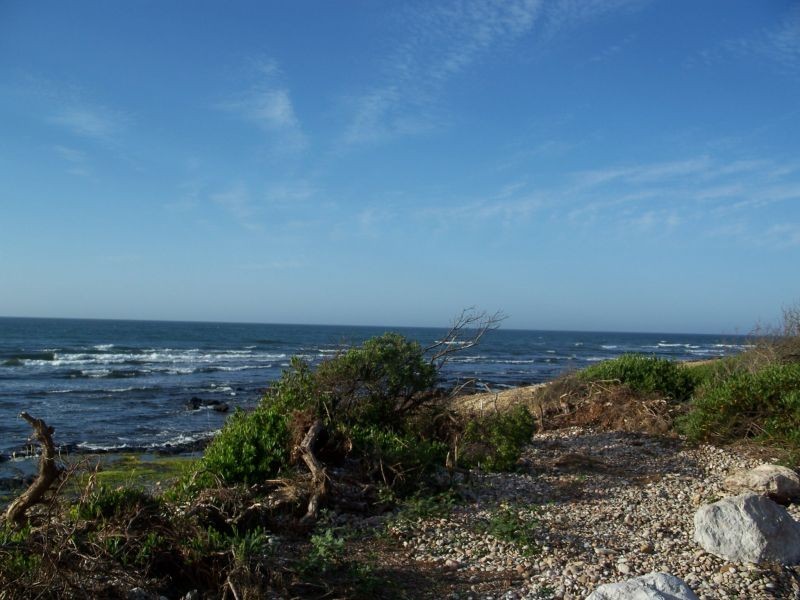 8  Clerke Street, Leith TAS 7315