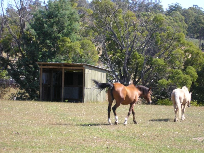 77  Loop Road, Glengarry TAS 7275