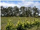 77  Loop Road, Glengarry TAS 7275