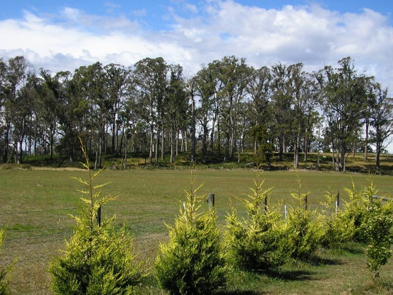77  Loop Road, Glengarry TAS 7275
