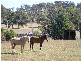 77  Loop Road, Glengarry TAS 7275