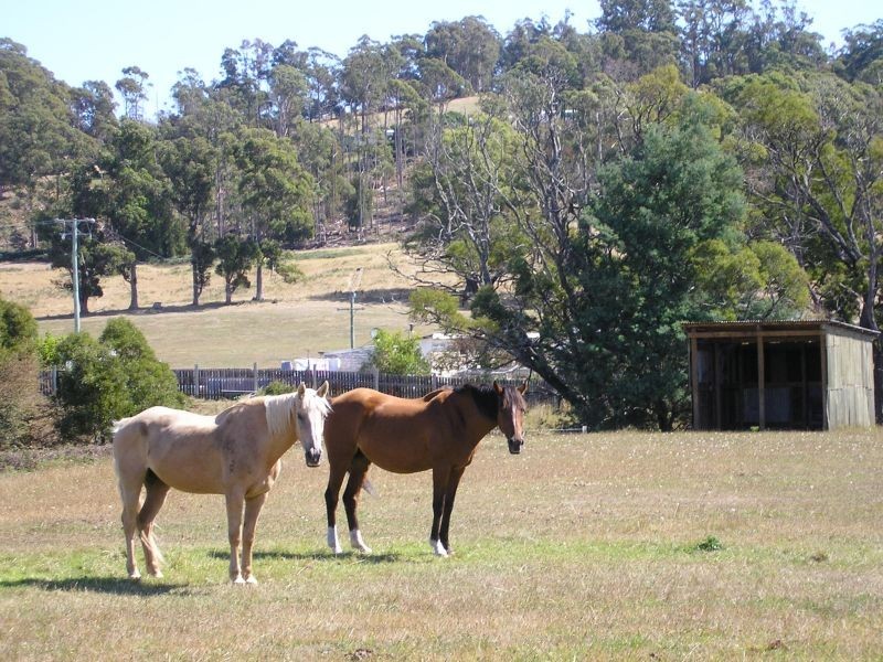 77  Loop Road, Glengarry TAS 7275