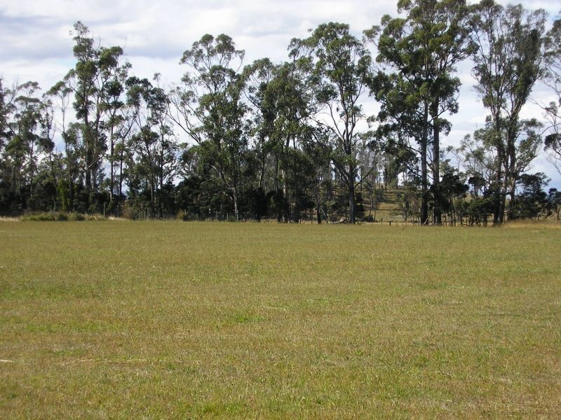 77  Loop Road, Glengarry TAS 7275