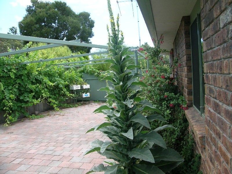 6 Swan Point Road, Swan Point TAS 7275