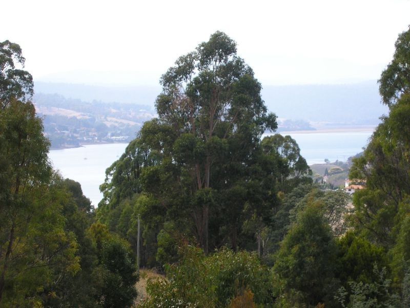 9  Bradys Lookout Road, Rosevears TAS 7277