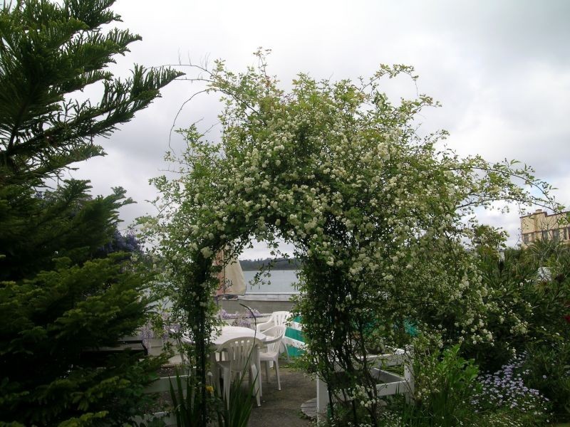 10  Eton Street, Beauty Point TAS 7270