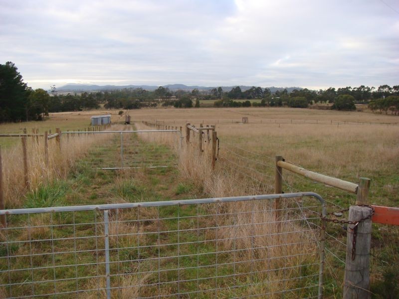 *  Rowella Road, Rowella TAS 7270