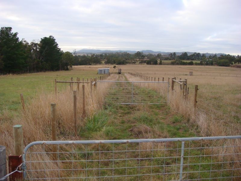 *  Rowella Road, Rowella TAS 7270