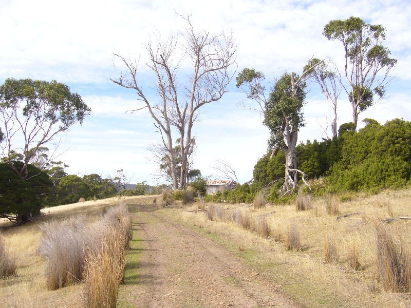 George Town TAS 7253