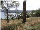 675  Rowella Road, Rowella TAS 7270