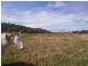 715 Long Plains Road, Bridgenorth TAS 7277