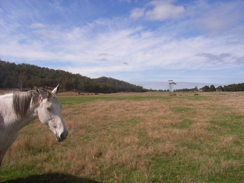 715 Long Plains Road, Bridgenorth TAS 7277