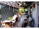 20  Alpine Crescent, Grindelwald TAS 7277