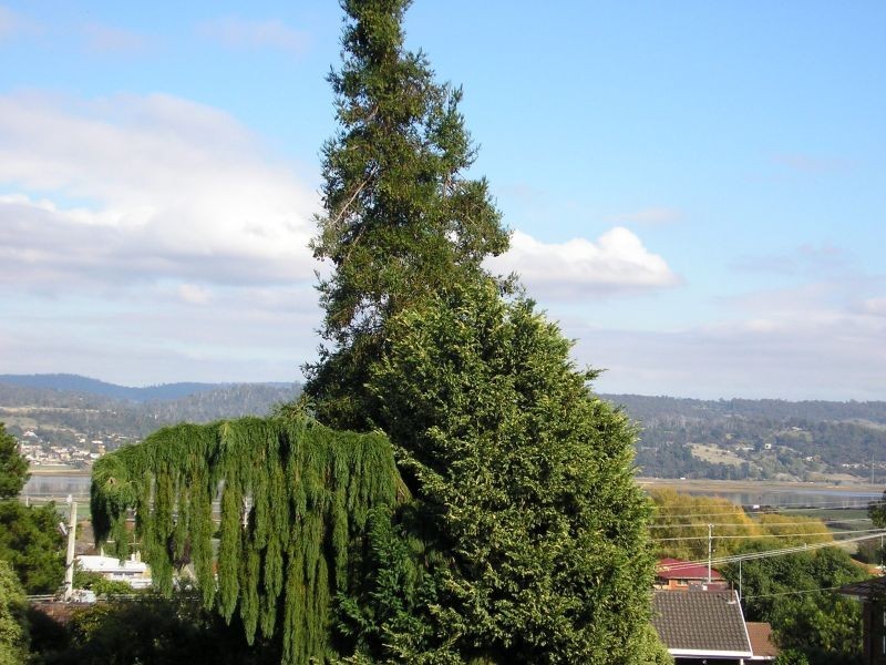 18 Bronzewing Avenue, Newnham TAS 7248
