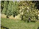 18 Bronzewing Avenue, Newnham TAS 7248