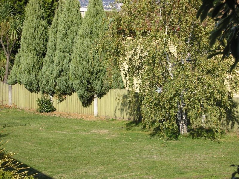 18 Bronzewing Avenue, Newnham TAS 7248