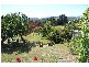 50   Main Road, Exeter TAS 7275