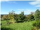 50   Main Road, Exeter TAS 7275