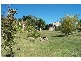 50   Main Road, Exeter TAS 7275