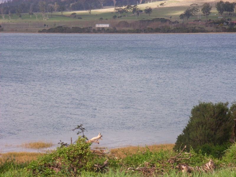 61  Beach Road, Gravelly Beach TAS 7276