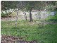 61  Beach Road, Gravelly Beach TAS 7276