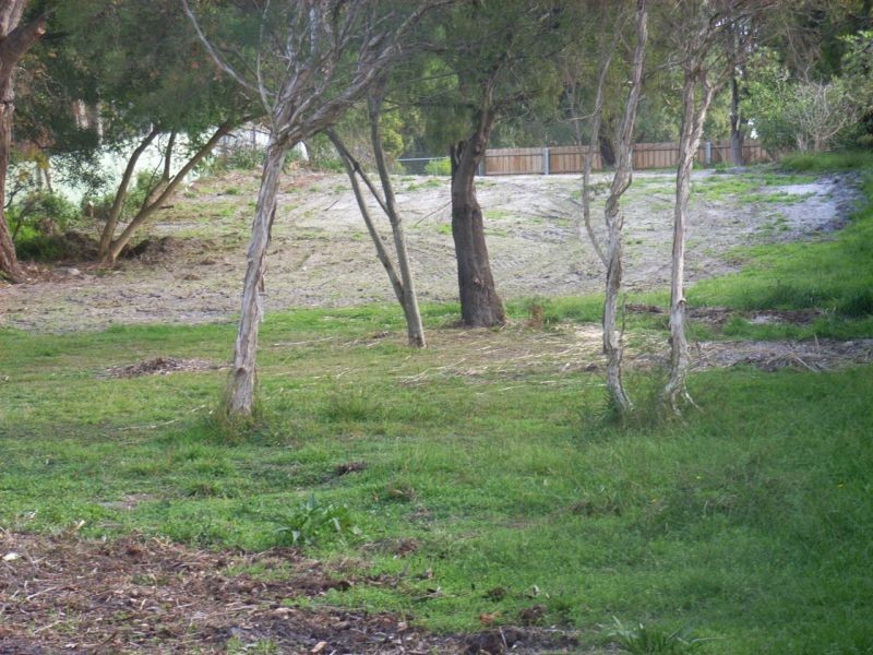 61  Beach Road, Gravelly Beach TAS 7276