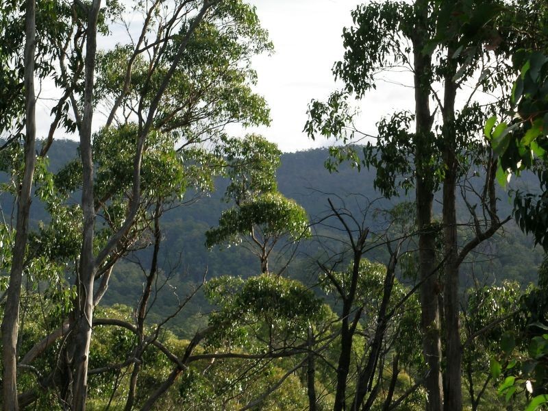 Hinds  Road, Holwell TAS 7275