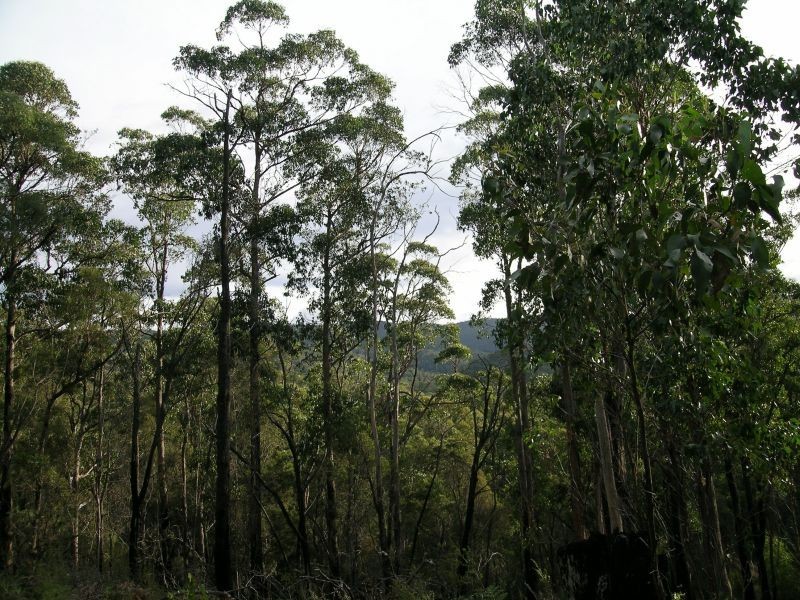 Hinds  Road, Holwell TAS 7275