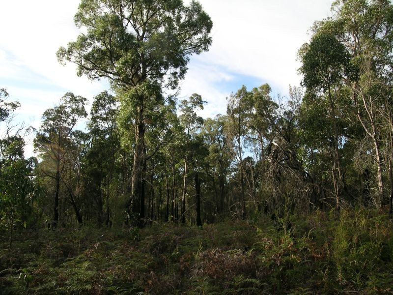 Hinds  Road, Holwell TAS 7275