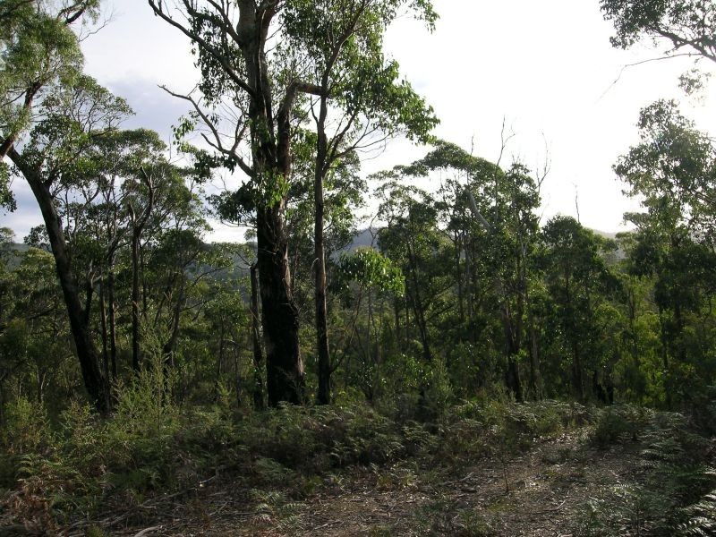 Hinds  Road, Holwell TAS 7275