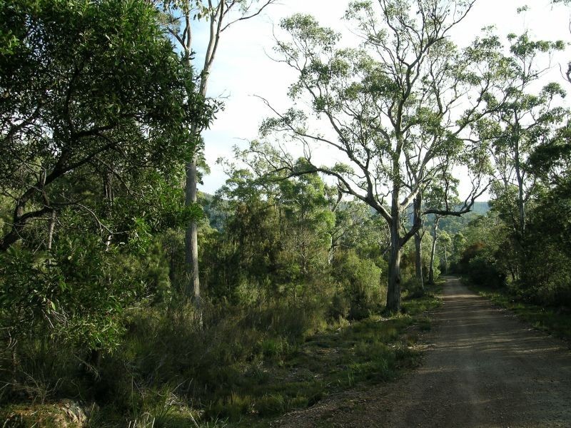 Hinds  Road, Holwell TAS 7275