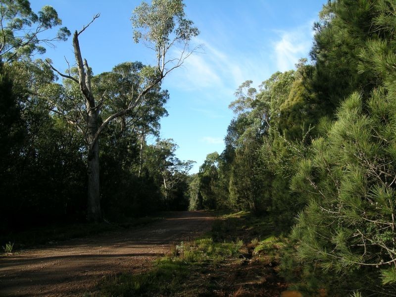 Hinds  Road, Holwell TAS 7275