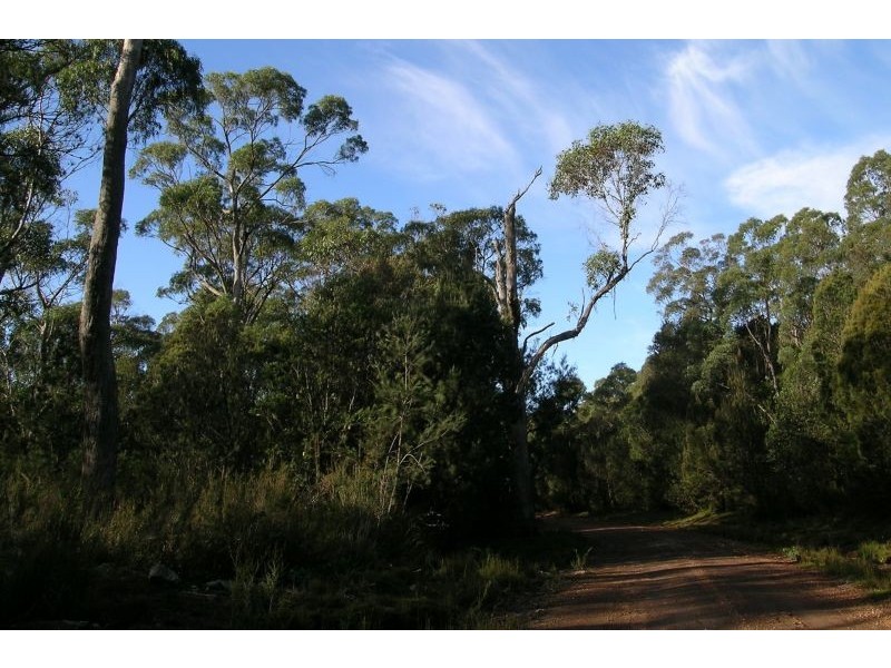 Hinds  Road, Holwell TAS 7275