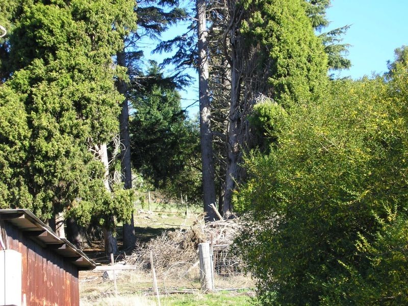 47  Bonnie Beach Road, Kayena TAS 7270