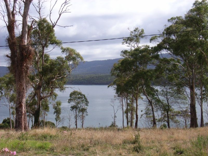 675  Rowella Road, Rowella TAS 7270