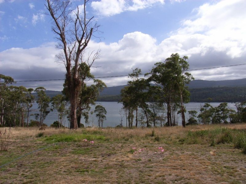 675  Rowella Road, Rowella TAS 7270