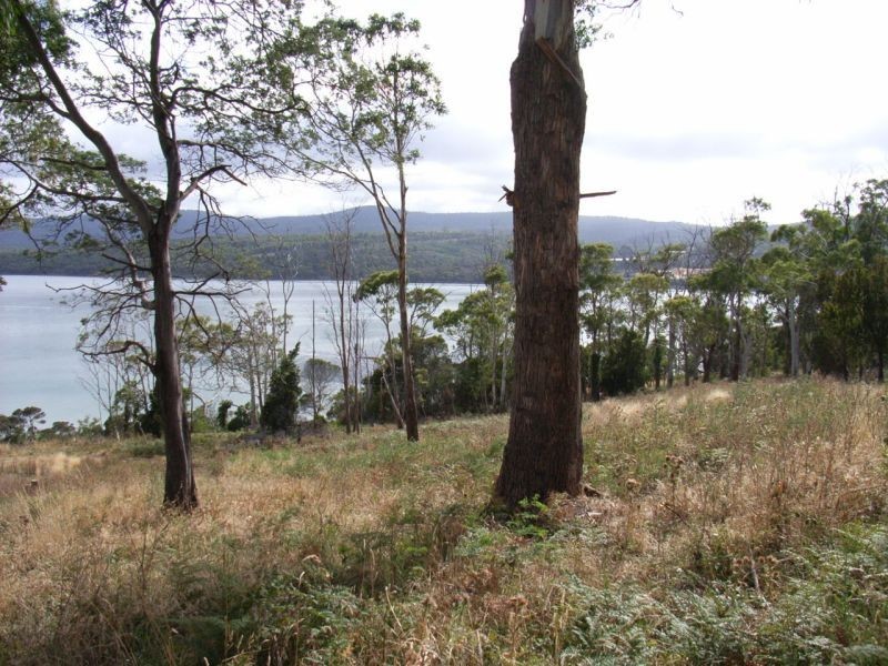 675  Rowella Road, Rowella TAS 7270