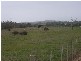 627  Rowella Road, Rowella TAS 7270