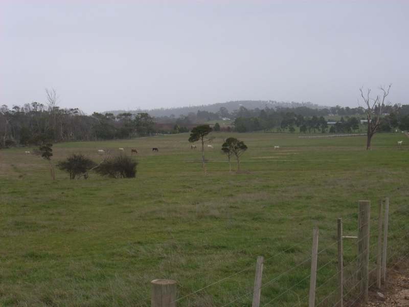 627  Rowella Road, Rowella TAS 7270