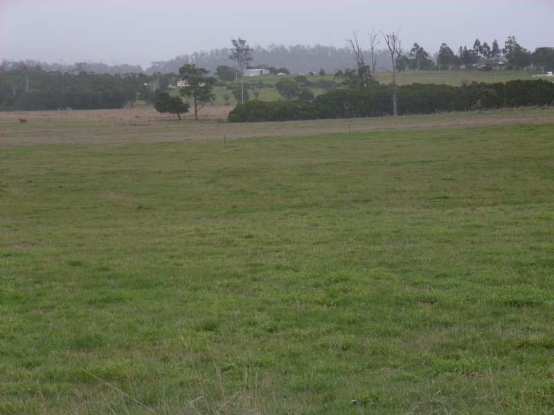 627  Rowella Road, Rowella TAS 7270