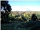 1094 Patersonia Road, Patersonia TAS 7259