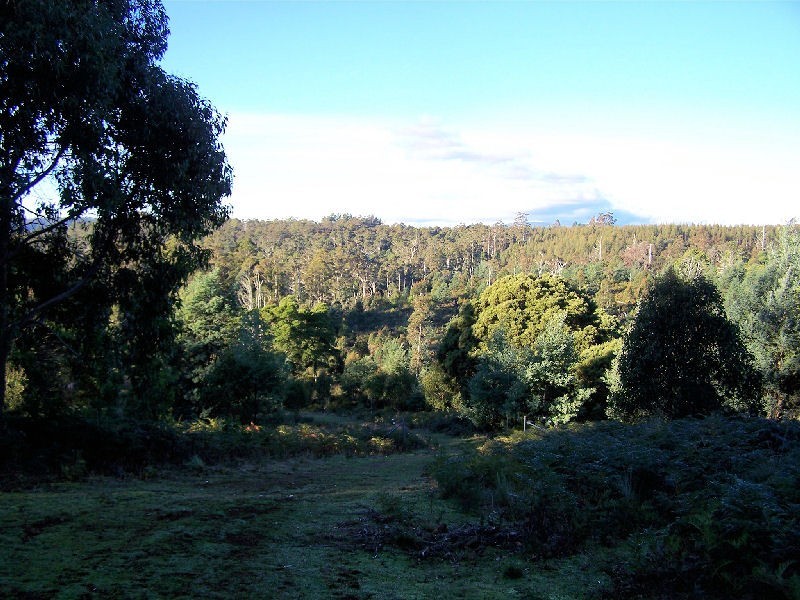 1094 Patersonia Road, Patersonia TAS 7259