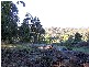 1094 Patersonia Road, Patersonia TAS 7259