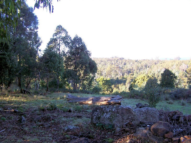 1094 Patersonia Road, Patersonia TAS 7259