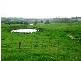 232  Hoods Road, Glengarry TAS 7275